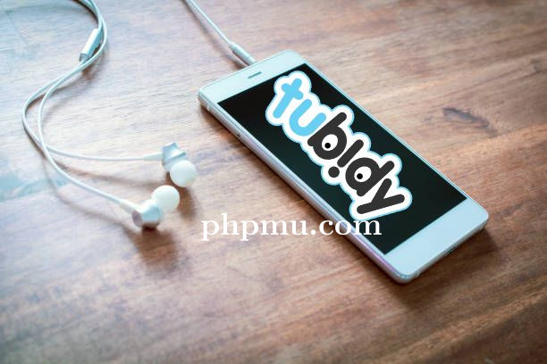 Tubidy Tempat Simpan Lagu TikTok Tanpa Aplikasi Tambahan